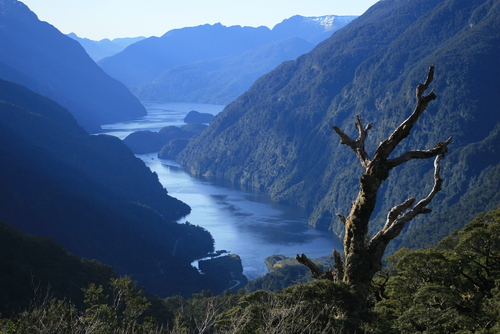 Fiordo Doubtful Sound en Nueva Zelanda