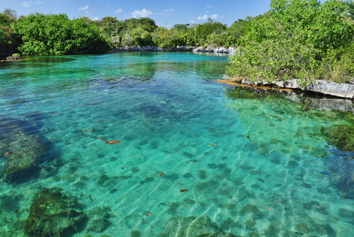 Xel Há en la Riviera Maya