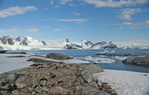 Glaciar Petermann en Groenlandia 