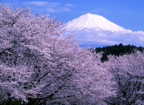 Monte Fuji en Japón