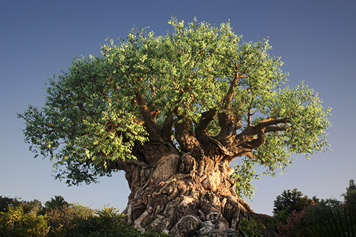 Disneys Animal Kingdom en Orlando