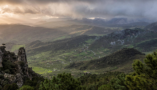Parque Natural de Grazalema