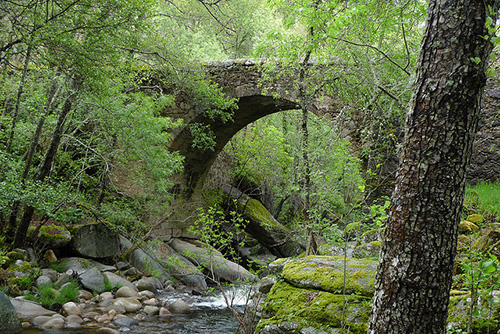 Puente en la Sierra de Francia