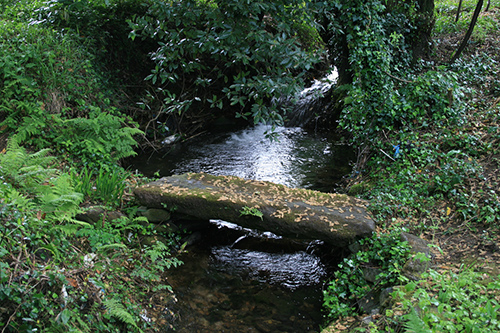 Río Té