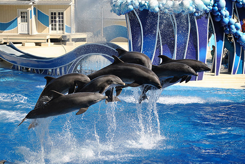 Sea World Orlando