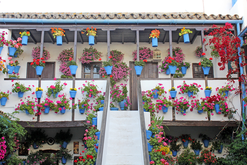 Patio típico de Córdoba