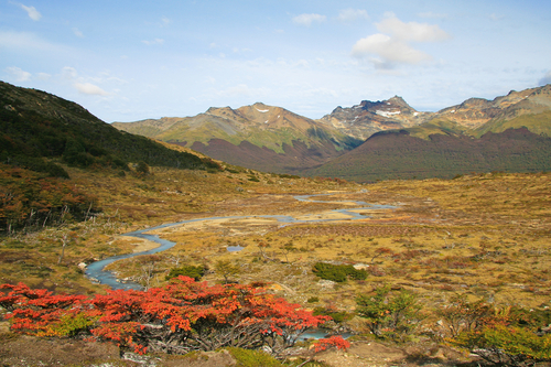 Paisaje del Parque Nacional en Ushuaia