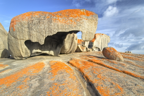 Isla Canguro en Australia