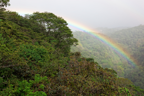 Monteverde en Costa Rica