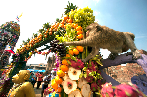 Festival del Mono de Tailandia