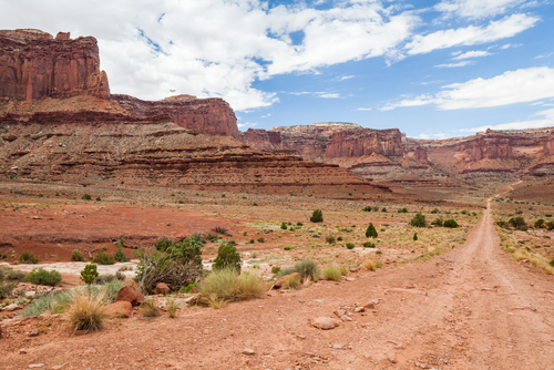 Desierto del Colorado