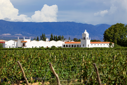 Mendoza, paraíso vinícola latinoamericano