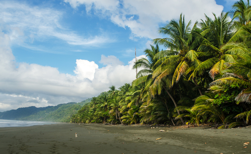 Parque Nacional Corcovado en Costa Rica