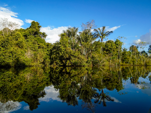 Río Amazonas