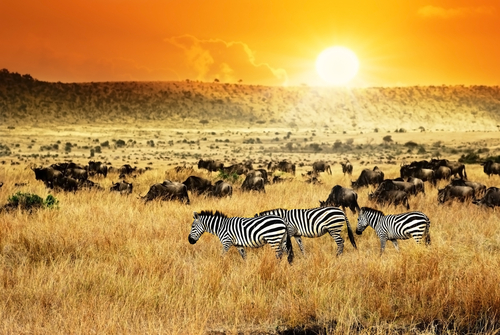 Kenia en Africa