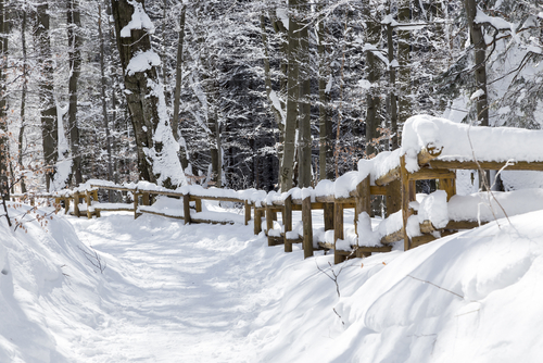 Montañas Bieszcady en Polonia