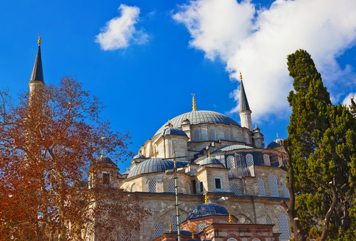 Mezquita de Fatih