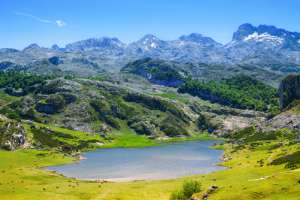 Naturaleza en losPicos de Europa