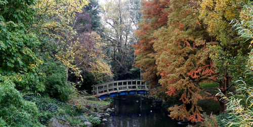 Regents Park en Londres
