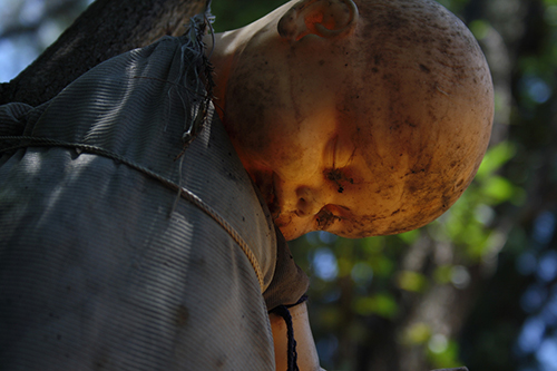 Isla de las Muñecas