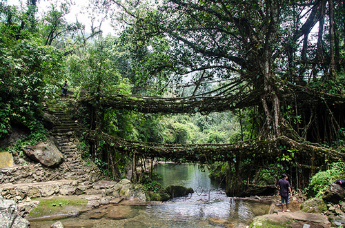 Puentes de Meghalaya