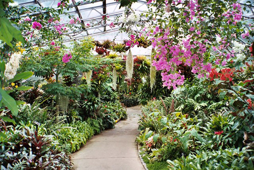 Winter Gardens en Aberdeen