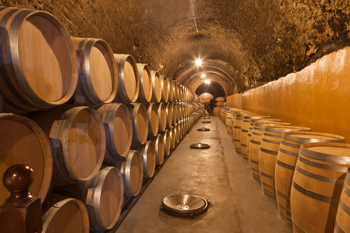 Bodega en Ribera de Duero