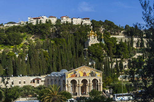 Monte de los Olivos en Jerusalén