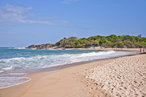 Playa tropical en Recife