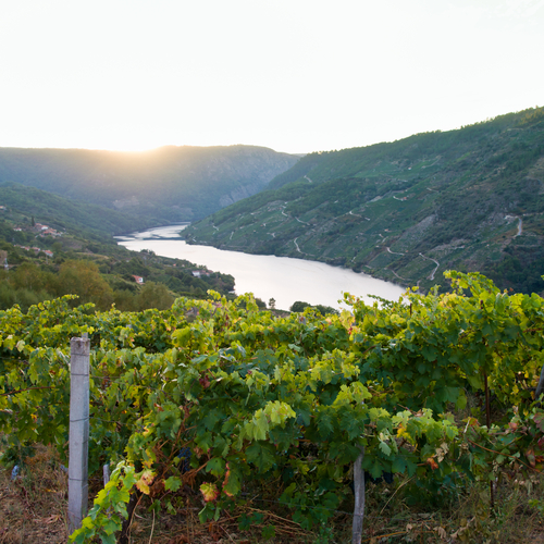 Ribeira Sacra