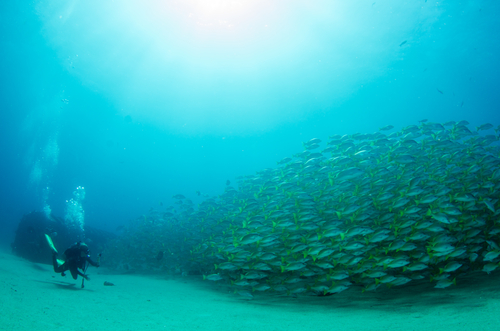 Aguas de la isla del Coco