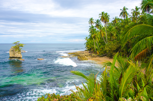 Vegetación en isla del Coco