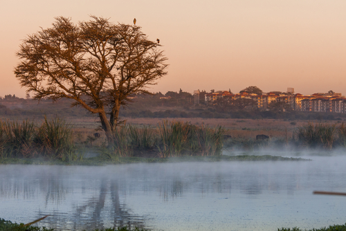 Parque Nacional de Nairobi