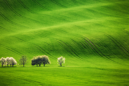 Paisaje del Sur de Moravia