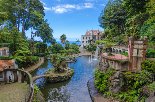 Jardín tropical en Madeira