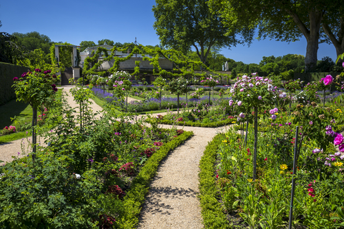 Jardines en Charlottenhof