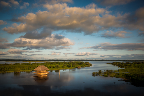 Río Amazonas