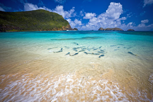 Playa en la Isla de Lord Howe