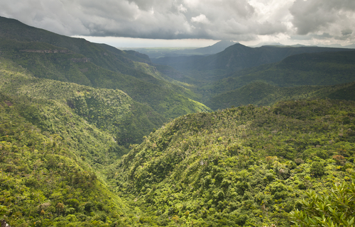 Black River Gorges