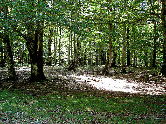 Parque Natural-Urbasa-Andía