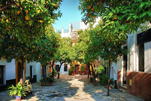 Barrio de Santa Cruz de Sevilla