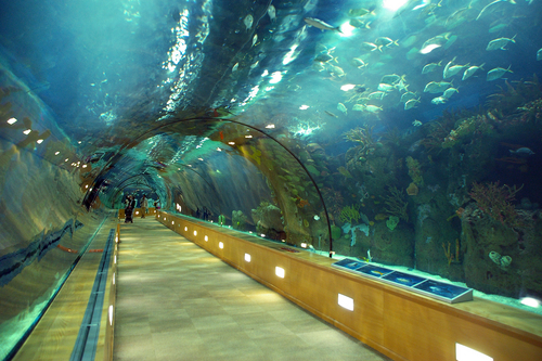 Oceanográfico de Valencia