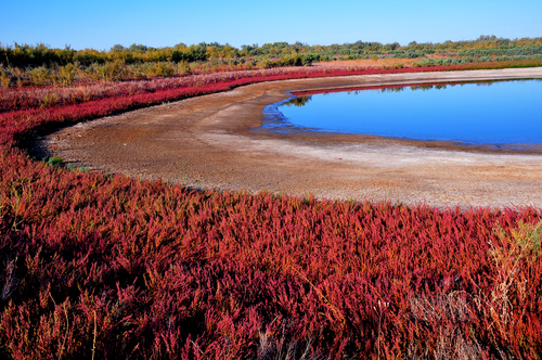 Lago Aydarkul en la Ruta de la Seda