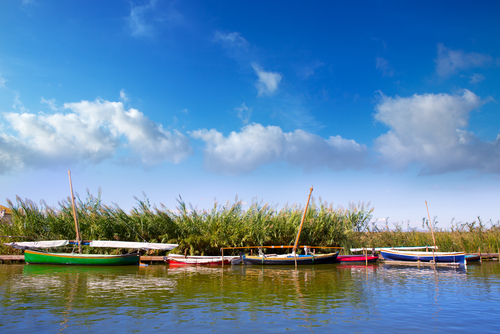 Albufera de Valencia