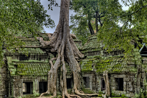 Camboya más allá de los templos de Angkor