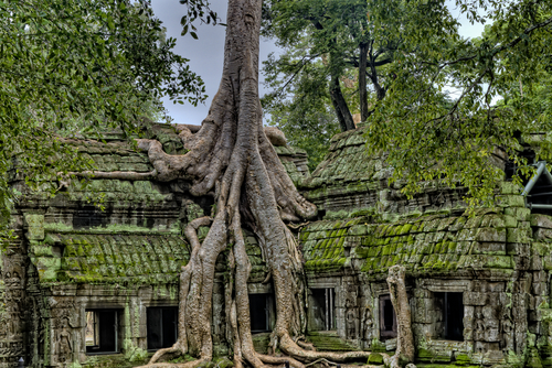 Angkor Wat en Camboya