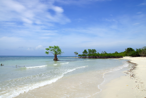 Playa en Siquijor