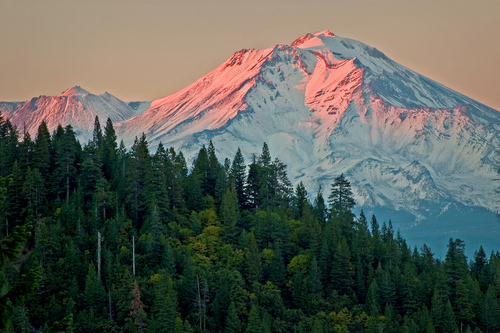 Monte Shasta