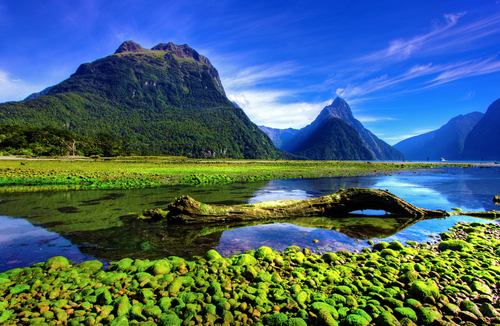 Milford Sound en Nueva Zelanda