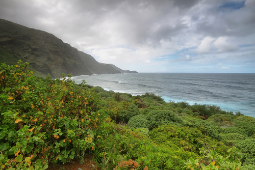 Vista de La Palma